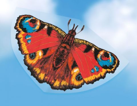 Pfauenauge Schmetterling mit bunten Flügeln vor blauem Himmel.